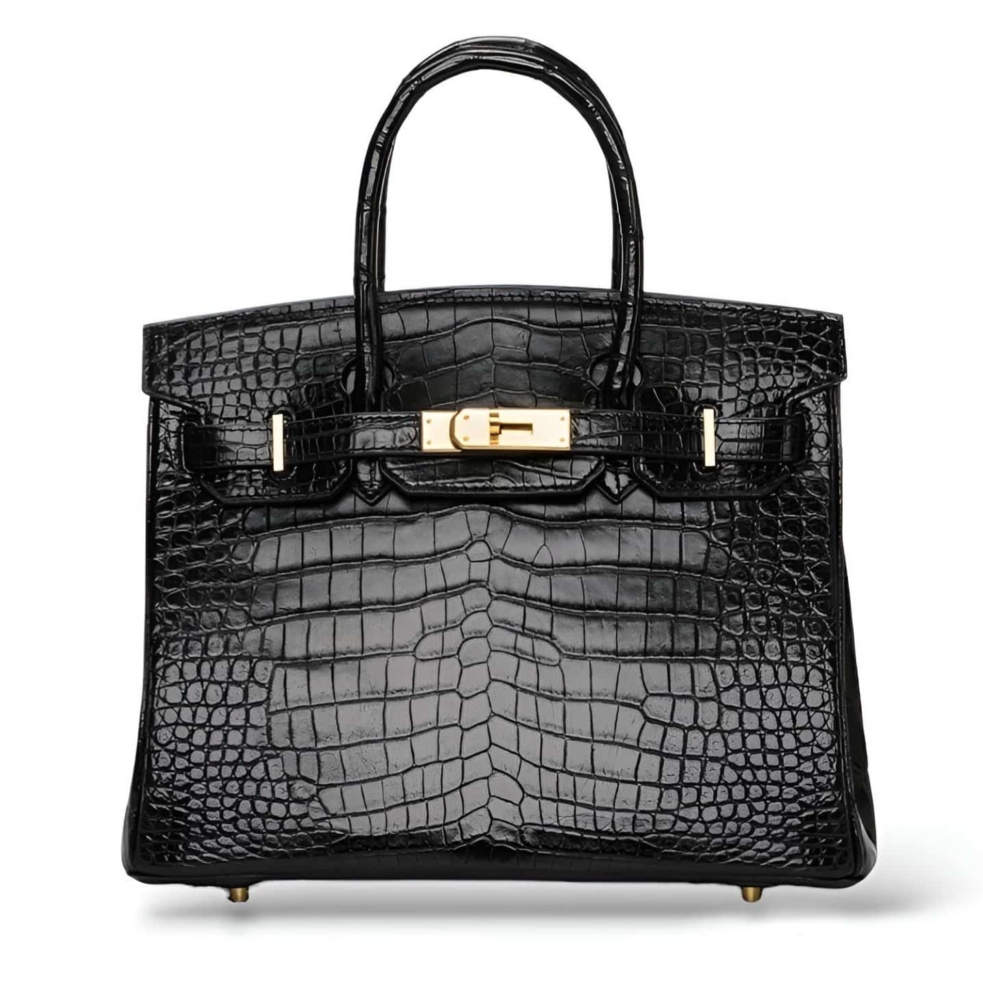 BIRKIN CROCO